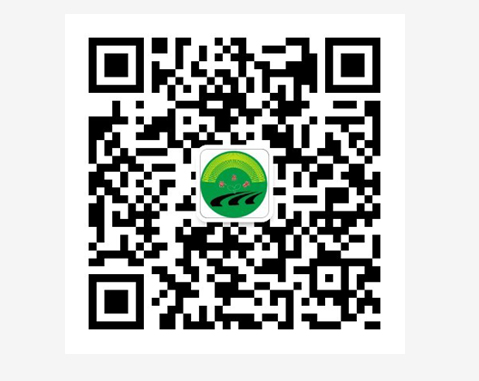 小(xiǎo)蜜蜂谷物(wù)種植技(jì )術農民(mín)合作(zuò)社