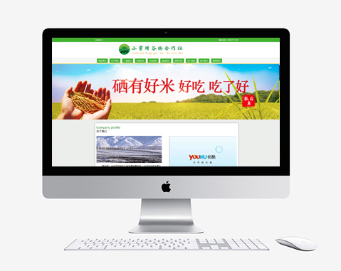小(xiǎo)蜜蜂谷物(wù)合作(zuò)社